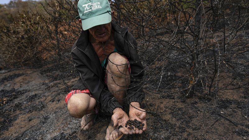 El_clima_extremo_amenaza_con_subir_au_n_ma_s_los_precios_del_cafe_