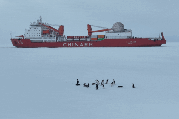 El épico viaje antártico de China: barcos navegan para construir la Estación Qinling 🚢❄️ El_e_pico_viaje_anta_rtico_de_China__barcos_navegan_para_construir_la_Estacio_n_Qinling____