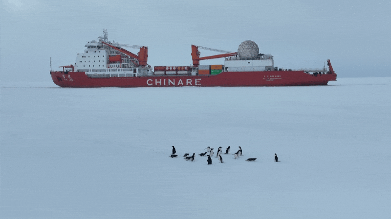 El_e_pico_viaje_anta_rtico_de_China__barcos_navegan_para_construir_la_Estacio_n_Qinling____