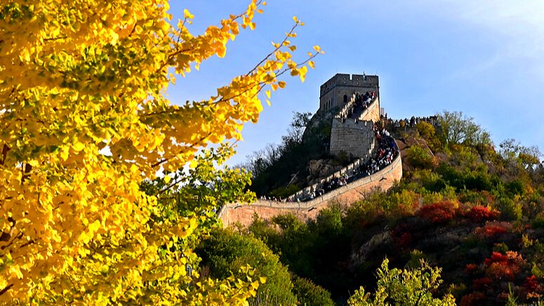 El_encanto_oton_al_de_la_Gran_Muralla_en_Badaling_deslumbra_al_mundo