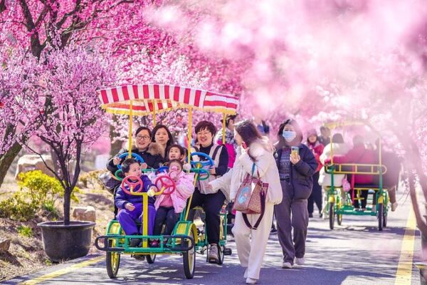 El este de Huzhou en China florece en primavera con vibrantes flores de ciruelo 🌸 El_este_de_Huzhou_en_China_florece_en_primavera_con_vibrantes_flores_de_ciruelo__