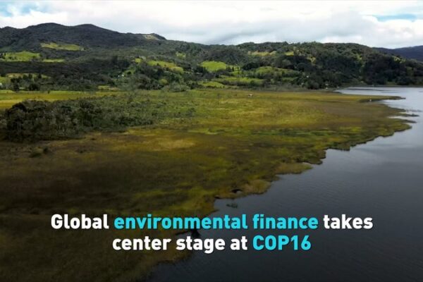 El futuro de la Tierra en juego: COP16 discute financiamiento ambiental 🌎💰 El_futuro_de_la_Tierra_en_juego__COP16_discute_financiamiento_ambiental___ video poster