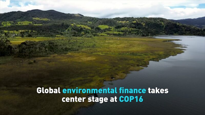 El_futuro_de_la_Tierra_en_juego__COP16_discute_financiamiento_ambiental___ video poster