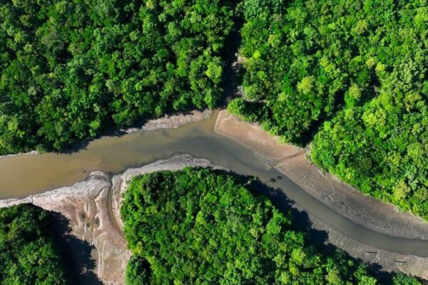 El gran momento de América Latina: Alimentando al mundo y salvando el planeta 🌎🌽 El_gran_momento_de_Ame_rica_Latina__Alimentando_al_mundo_y_salvando_el_planeta___