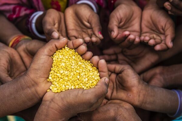 El hambre afecta a 733 millones en 2023: Informe de la ONU destaca la crisis mundial de seguridad alimentaria El_hambre_afecta_a_733_millones_en_2023__Informe_de_la_ONU_destaca_la_crisis_mundial_de_seguridad_alimentaria