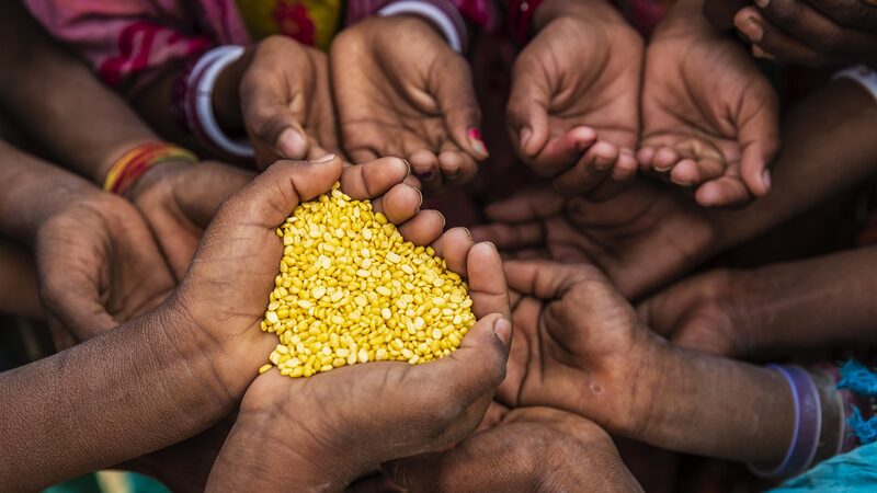 El_hambre_afecta_a_733_millones_en_2023__Informe_de_la_ONU_destaca_la_crisis_mundial_de_seguridad_alimentaria