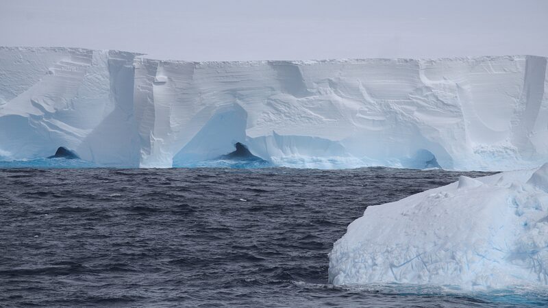 _El_iceberg_ma_s_grande_del_mundo_finalmente_esta__en_movimiento____