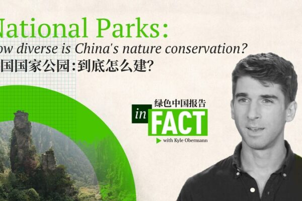 El_lado_salvaje_oculto_de_China__Parques_nacionales_y_naturaleza_intacta__ video poster