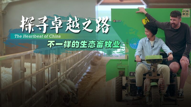 El_latido_de_China__Aventura_entre_ovejas_y_energi_a_hidro_solar_en_Qinghai video poster