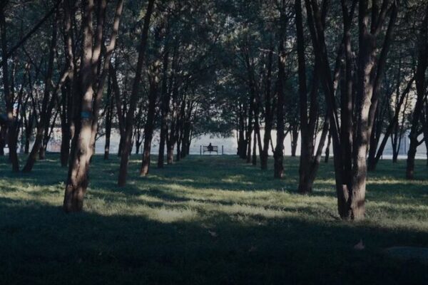 ¡El mágico paisaje marino de Ditan Park: una joya oculta en Pekín! _El_ma_gico_paisaje_marino_de_Ditan_Park__una_joya_oculta_en_Peki_n_ video poster