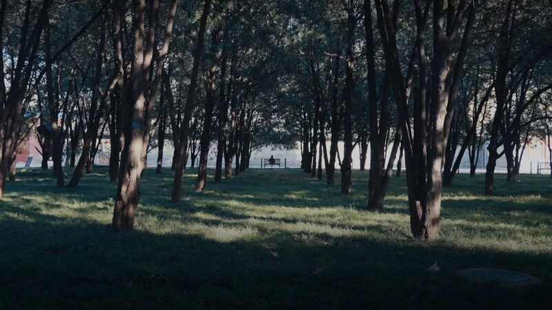 _El_ma_gico_paisaje_marino_de_Ditan_Park__una_joya_oculta_en_Peki_n_ video poster