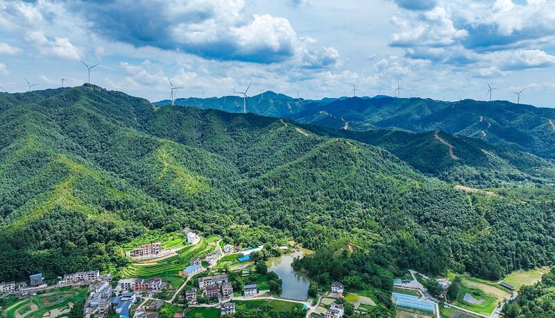El_mercado_nacional_de_carbono_de_China_impulsa_la_transicio_n_verde