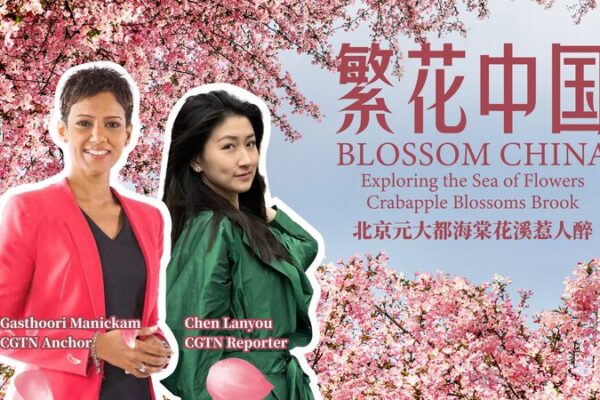 El parque Yuan Dadu de Beijing estalla en color con 5,000 árboles de manzano en flor 🌸 El_parque_Yuan_Dadu_de_Beijing_estalla_en_color_con_5_000_a_rboles_de_manzano_en_flor__ video poster
