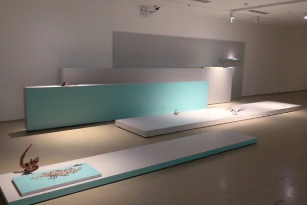 El pergamino de la Dinastía Ming inspira la instalación 3D de una artista francesa en Pekín 🎨🖼️ El_pergamino_de_la_Dinasti_a_Ming_inspira_la_instalacio_n_3D_de_una_artista_francesa_en_Peki_n____