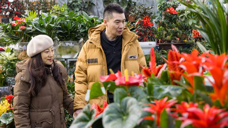 El_poder_de_las_flores__La_tradicio_n_del_Festival_de_Primavera_en_China_florece_a_nivel_nacional__