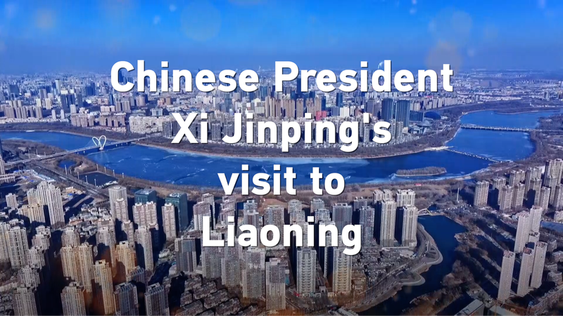 El_presidente_Xi_Jinping_inicia_el_2025_con_una_emotiva_visita_a_la_provincia_de_Liaoning video poster