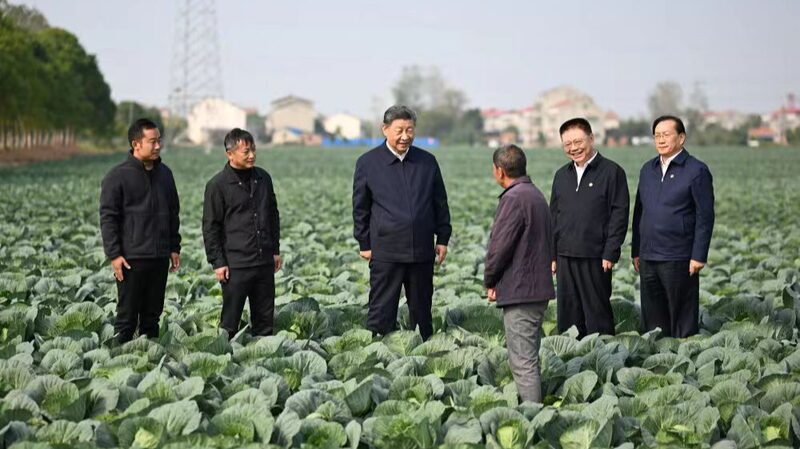 El_presidente_Xi_pide_acelerar_la_revitalizacio_n_rural_para_avanzar_en_la_modernizacio_n