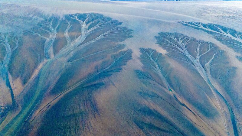 El_ri_o_Qiantang_de_China__Donde_los_a_rboles_crecen_del_agua___