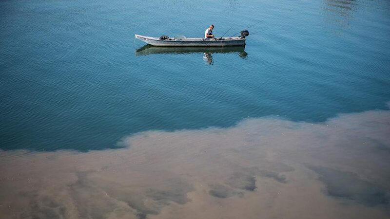 El_ri_o_de_Belgrado_bajo_asedio__la_contaminacio_n_por_aguas_residuales_amenaza_al_Sava___