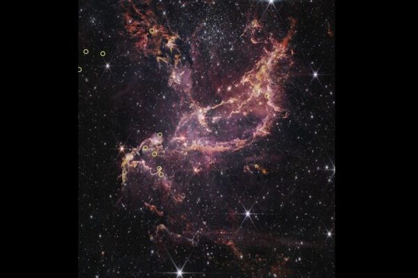 El_telescopio_James_Webb_revela_que_los_discos_planetarios_vivi_an_ma_s_en_el_universo_primitivo