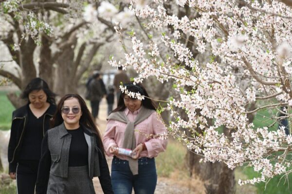 El turismo en Xinjiang se dispara más del 62% durante el Festival Qingming 🏔️🎉 El_turismo_en_Xinjiang_se_dispara_ma_s_del_62__durante_el_Festival_Qingming____