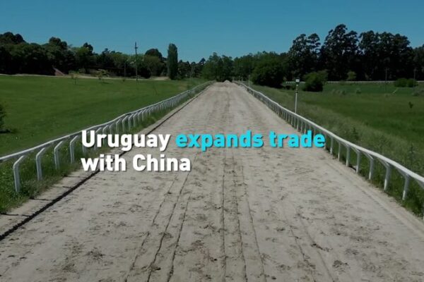 Eleccio_n_en_Uruguay__Ambos_candidatos_buscan_un_comercio_ma_s_fuerte_con_China___ video poster