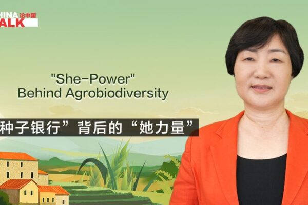 Empoderando a las mujeres: Semillas de cambio en la agrobiodiversidad 🌱👩🌾 Empoderando_a_las_mujeres__Semillas_de_cambio_en_la_agrobiodiversidad_____ video poster