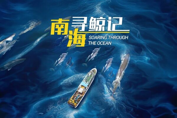 Emprende_una_aventura_ocea_nica__El_regreso_de_una_ballena_rescatada_al_Mar_de_China_Meridional video poster