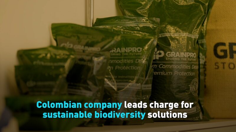 Empresa_colombiana_lidera_el_camino_en_soluciones_sostenibles_para_la_biodiversidad__ video poster