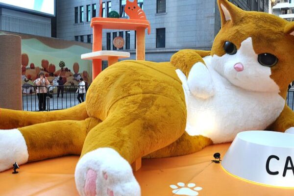Enorme__Gato__Naranja_Roba_la_Atencio_n_en_El_Bund_de_Shangha_i