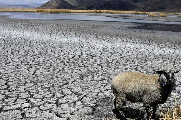 Es_hora_de_que_los_bancos_den_un_paso_al_frente__financiando_nuestro_futuro_clima_tico__