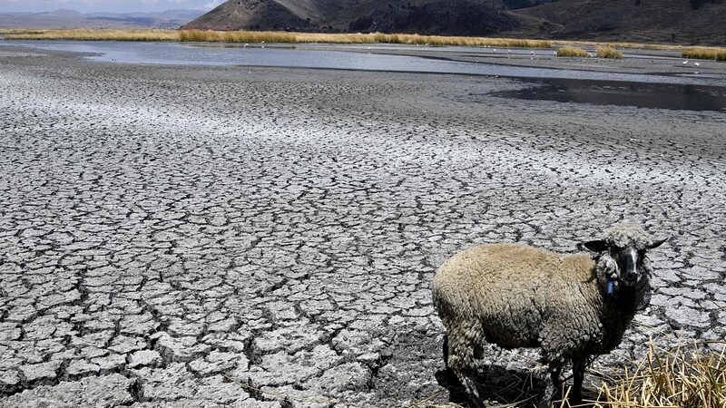 Es_hora_de_que_los_bancos_den_un_paso_al_frente__financiando_nuestro_futuro_clima_tico__