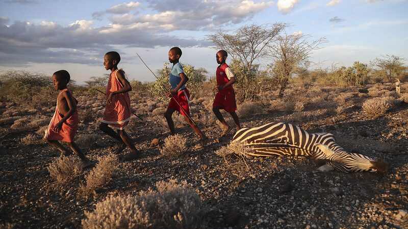 Es_momento_de_dar_una_voz_a_los_ma_s_pequen_os_de_A_frica_en_la_accio_n_clima_tica___