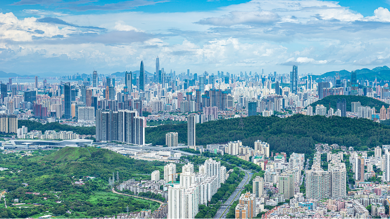 Escala_el_Monte_Wutong__Los_pulmones_de_Shenzhen_y_una_ventana_a_su_ascenso____ video poster