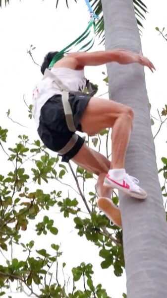 _Escalada_de_A_rboles_de_Coco_Brilla_en_los_Juegos_Nacionales_de_China_ video poster