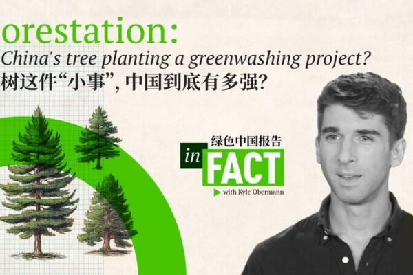 Esfuerzos_de_Reforestacio_n_de_China___Un_Planeta_Ma_s_Verde___ video poster