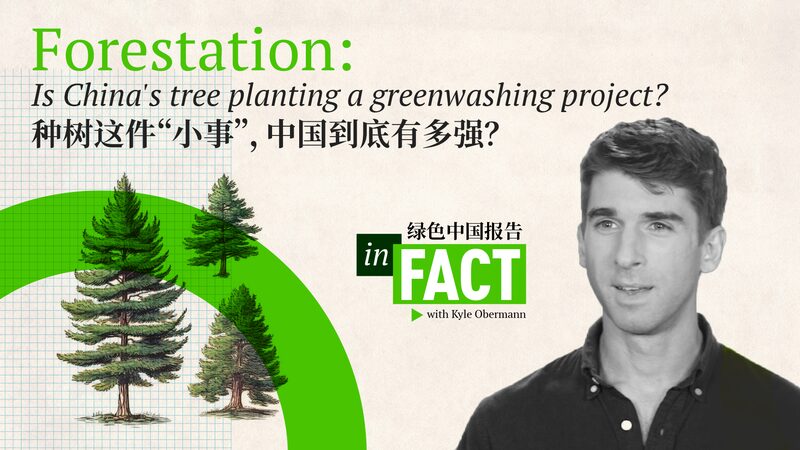 Esfuerzos_de_Reforestacio_n_de_China___Un_Planeta_Ma_s_Verde___ video poster