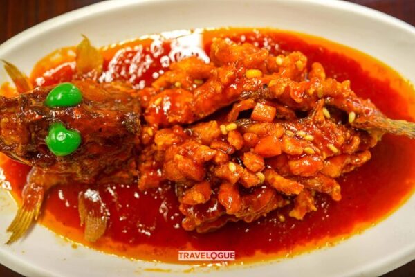 ¿Este pez se parece a una ardilla? ¡Conoce al pez Mandarín Ardilla de China! 🐟🐿️ _Este_pez_se_parece_a_una_ardilla___Conoce_al_pez_Mandari_n_Ardilla_de_China_____
