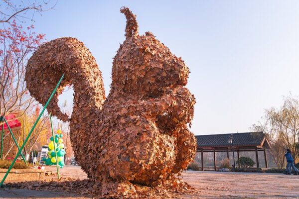 Estudiantes_convierten_hojas_cai_das_en_arte_impresionante_en_Hangzhou___
