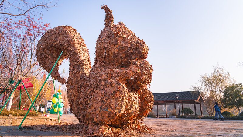 Estudiantes_convierten_hojas_cai_das_en_arte_impresionante_en_Hangzhou___