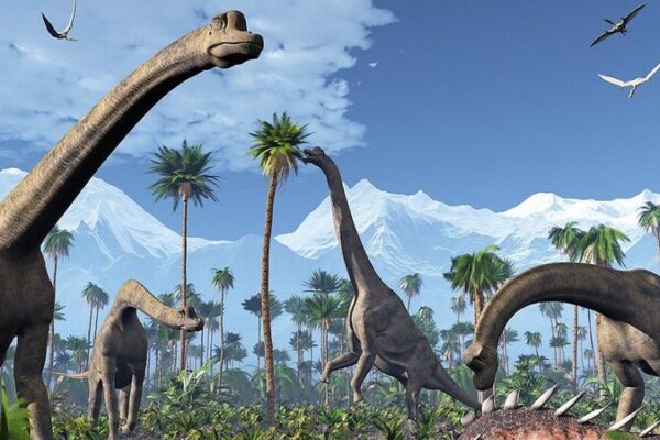 Excremento fosilizado de dinosaurio revela secretos de la dominación de los dinosaurios 🦖💩 Excremento_fosilizado_de_dinosaurio_revela_secretos_de_la_dominacio_n_de_los_dinosaurios___