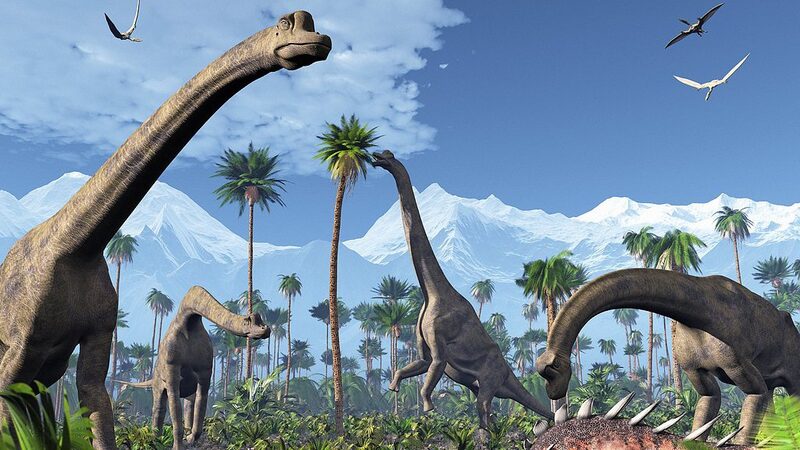 Excremento_fosilizado_de_dinosaurio_revela_secretos_de_la_dominacio_n_de_los_dinosaurios___