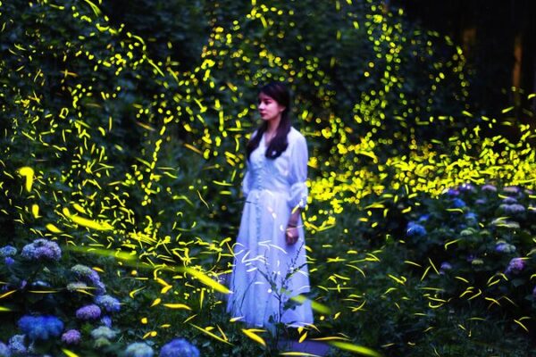 Experimenta el Encantador Espectáculo de Luciérnagas en la Montaña Tiantai 🌟✨ Experimenta_el_Encantador_Especta_culo_de_Lucie_rnagas_en_la_Montan_a_Tiantai___