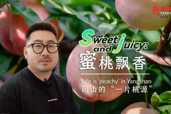 Experimenta la Dulce Vida en Yangshan: La Ciudad Natal de los Duraznos de Miel en China Experimenta_la_Dulce_Vida_en_Yangshan__La_Ciudad_Natal_de_los_Duraznos_de_Miel_en_China