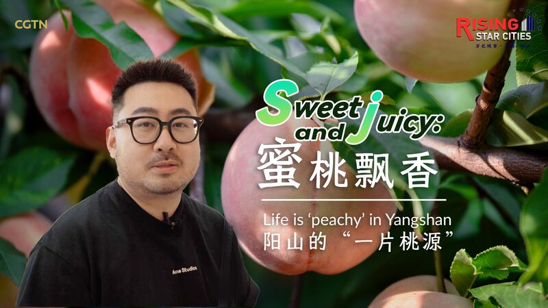 Experimenta_la_Dulce_Vida_en_Yangshan__La_Ciudad_Natal_de_los_Duraznos_de_Miel_en_China