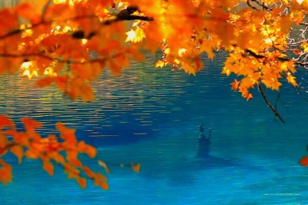 Experimenta_la_belleza_de_otro_mundo_de_Jiuzhaigou_en_oton_o video poster