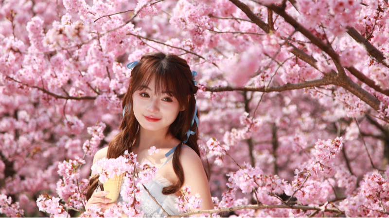 Experimenta_las_encantadoras_nubes_de_cerezos_en_flor_de_Nanjing__