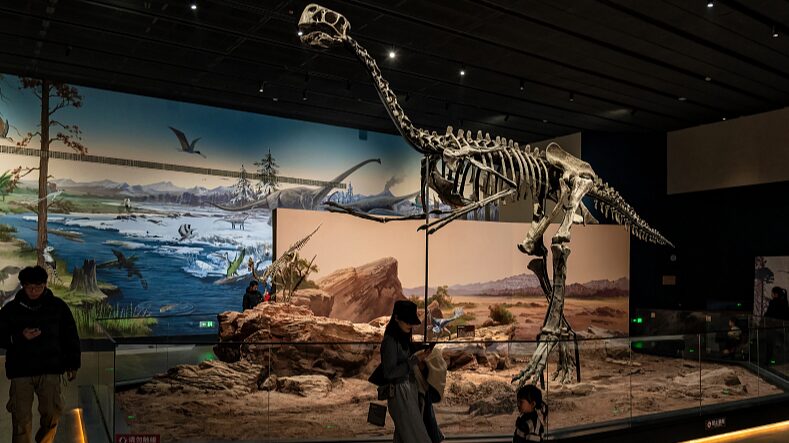 Explora_Maravillas_Antiguas__El_Nuevo_Museo_Paleozoolo_gico_de_China_Sorprende_a_los_Visitantes