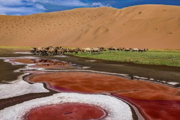 Explora el Majestuoso Desierto de Badain Jaran: Lagos Ocultos y Mega Dunas 🌵🌊🏜️ Explora_el_Majestuoso_Desierto_de_Badain_Jaran__Lagos_Ocultos_y_Mega_Dunas_____