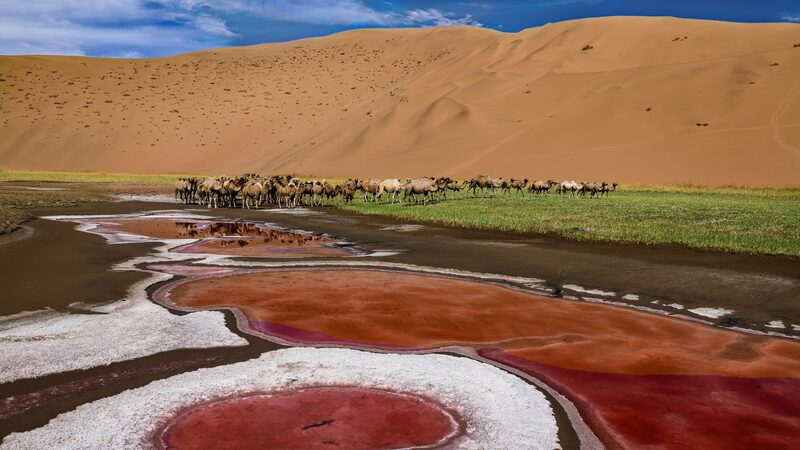 Explora_el_Majestuoso_Desierto_de_Badain_Jaran__Lagos_Ocultos_y_Mega_Dunas_____